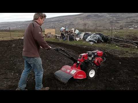 Honda FRC800 Rear-Tine Tiller
