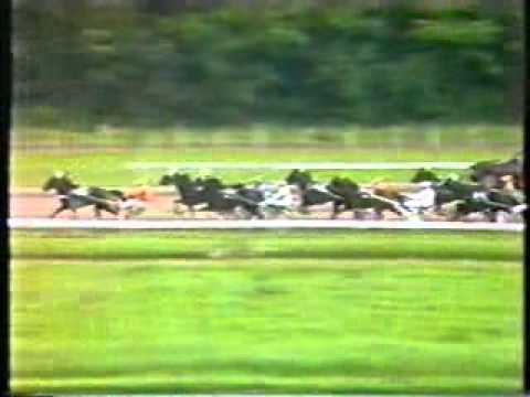 Derby "B" Nederland 1987 -Bea di Tricia