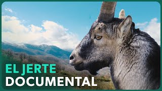 Thumbnail del capítulo