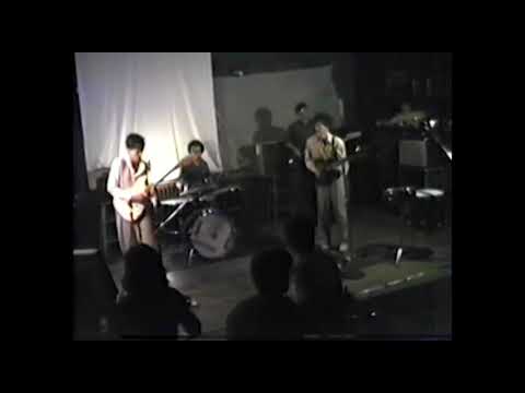 The Feelies – Looking at You