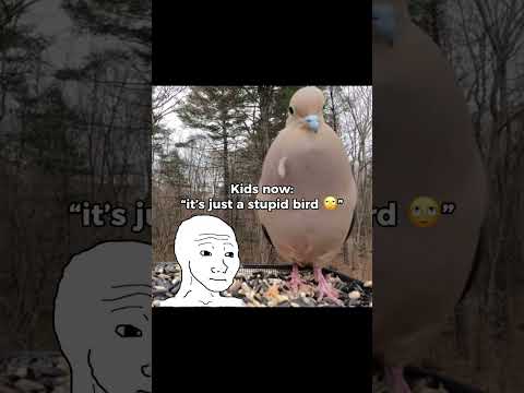 Such a nostalgic sound… #nostalgia