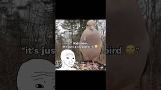 Download lagu Such a nostalgic sound… #nostalgia mp3