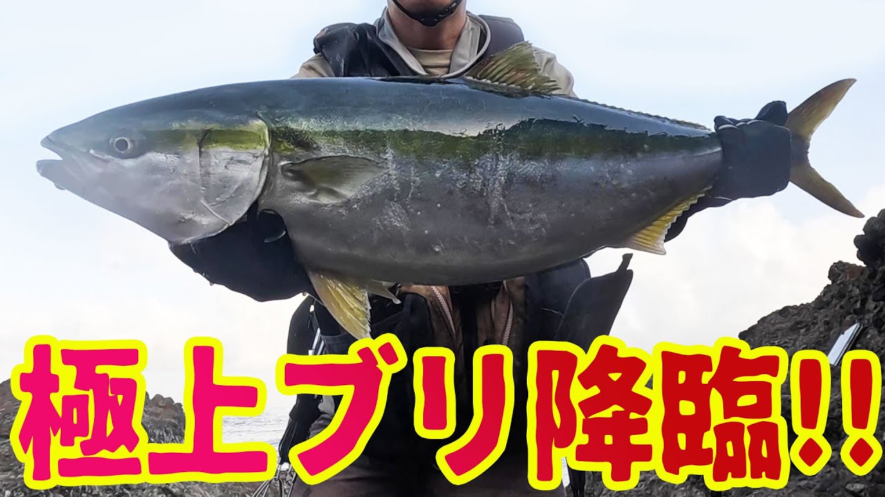 【福井ロックショア】潮が速すぎる…でも釣れたのは極上のブリ！！