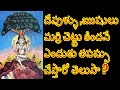 Significance Of Marri Chettu Puja Banyan Tree Significance Ayushmanbhava Creations