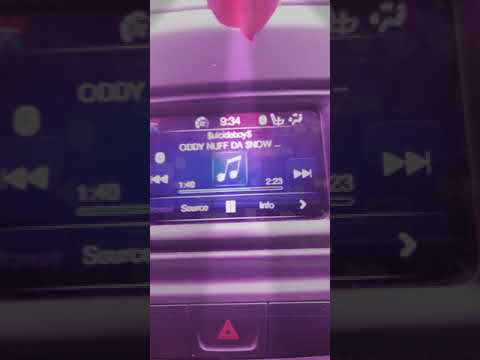 Oddy Nuff/Snow Leppard