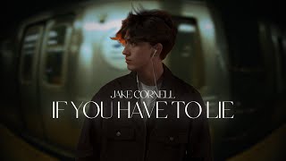 Cover art for If you have to lie