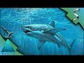 BULL SHARK TIGER SHARK Depth Gameplay E8