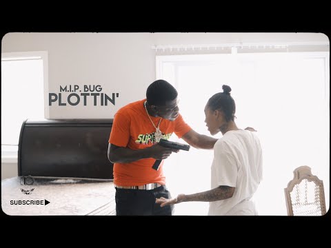M.I.P. Bug - "Bottom" A Visual by Al