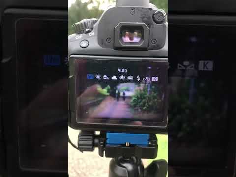 White balance bracketing by azhad aqil