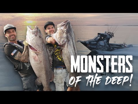 HUGE BAITS = HUGE FISH! Season 6 EP1 Tauranga