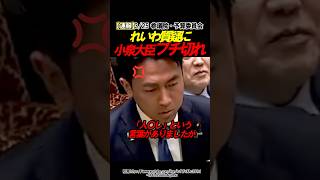 【怒り】小泉大臣がれいわにキレます #政治 #自民党 #小泉進次郎 #国会