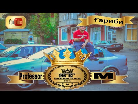 Professor M - Ғариби 2017 [ST]