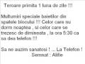 Teroare Cu Alifie 1
