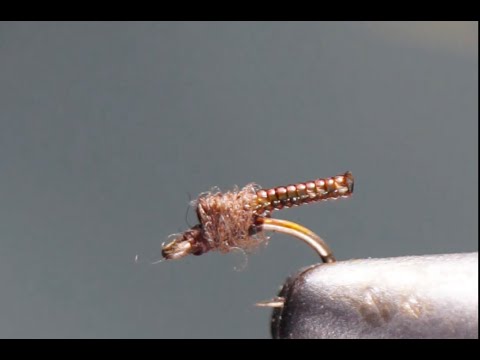 Krueger’s Clear Choice Midge Pupa