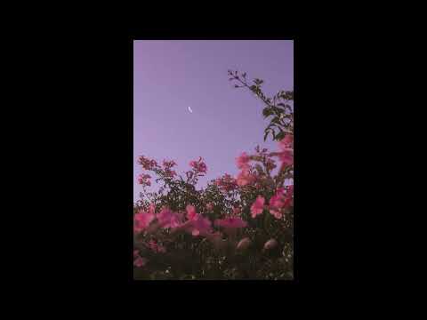 [free for profit] sad *ukulele* Juice WRLD x Joji Type Beat - "worries"