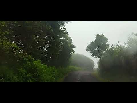 Misty mountains of Sri Lanka (Riverston)