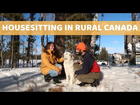 A Day In The Life Of A Housesitter - Rural Canada