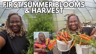 1st Blooms and Garden Harvest