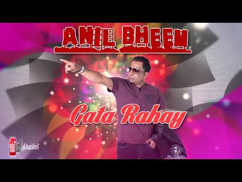 The Vocalist Anil Bheem - Gata Rahe Mera Dil - Bollywood Cover