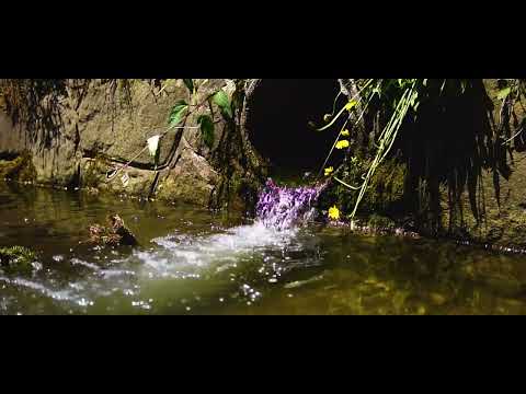 Kolárovice časť Vrchy [Kam isť ?] [www.nbstudio.sk]