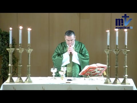La Santa Misa de hoy | Domingo VI del Tiempo Ordinario | 16-02-2025 | Pbro. Javier Martín, FM