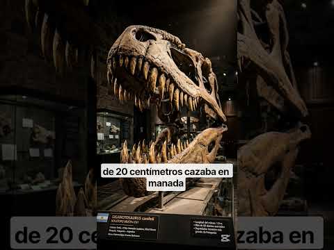 `El dinosaurio MÁS GRANDE que el T-Rex fue argentino 🇦🇷 14 METROS #shorts`