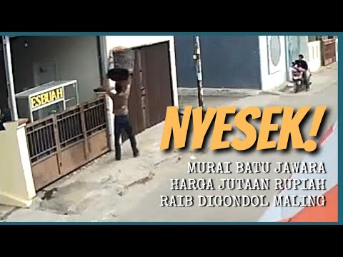 NYESEK! MURAI BATU SEHARGA Rp. 7 JUTA RAIB DIGONDOL MALING