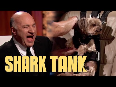 Zu Go Pet Shark Tank Pitch