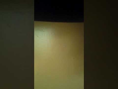 PREDICA LA DUMINICA SFANTULUI APOSTOL TOMA LA 8 ZILE DUPA INVIEREA DOMNULUI .