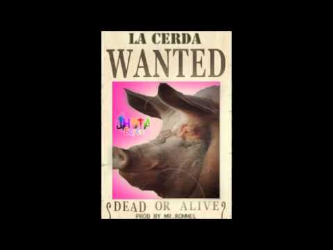 Jhota Boy Color   La Cerda Prod Mr  R ''Rommel''