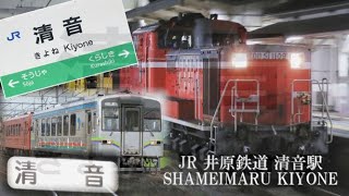 SHAMEIMARU KIYONE ZONE