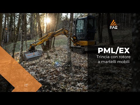 Trincia con rotore a martelli mobili FAE PML/EX per escavatori da 2 a 7,5 t