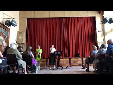 Tu mani cel / You raise me up