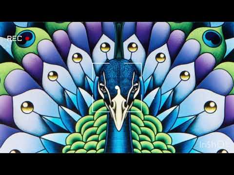 PARADISO GIRLS - PATRÓN TEQUILA (FEAT. LIL JON & EVE) | (432Hz)