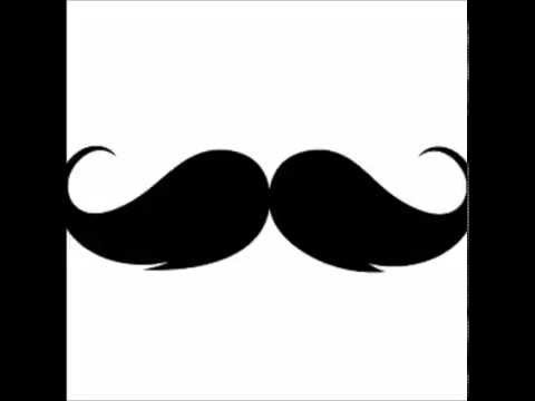 Tujamo vs Steve Aoki - Hey Mr. Boneless (Wildboys mashup)