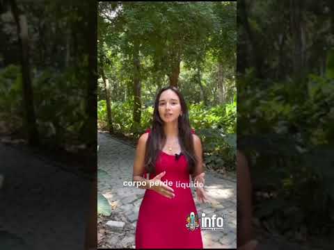 Fala, Nutri #4