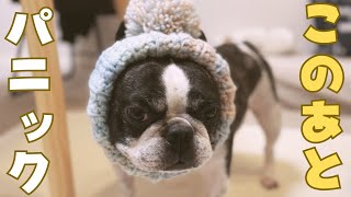 初めての帽子に挑戦してみた！🐶