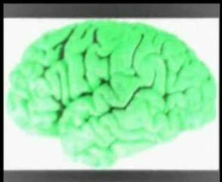 anja schneider - creaky thoughts