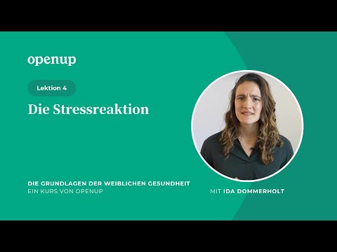 Die Grundlagen der Menstruationsgesundheit (4)| Die Stressreaktion