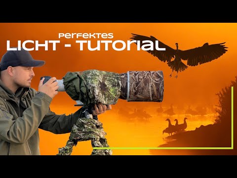 Nebel + Gegenlicht = Perfektes Licht / Naturfotografie Tutorial Foto Challenge