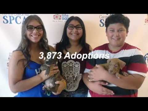 Ccspca 2014 In Review