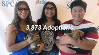 CCSPCA 2014 in Review