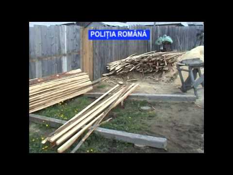 Perchezitii Maguri Racatau mafia lemnului