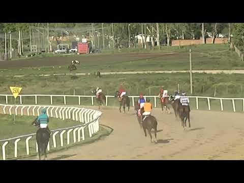 SINT FLORIDA 230420 c07 - 1° FORAJIDA