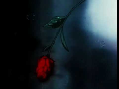 Cole Norton Perfect  (slowed + reverb)