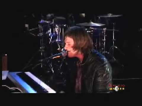 Not Alone - Seabird