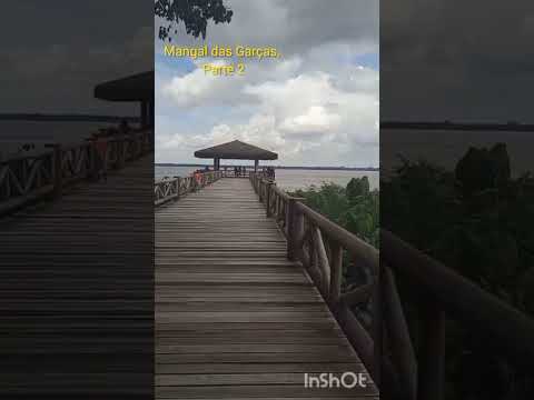 Mangal das Garças , Belém - PA #Ponte #rio #Amazônia #Belem  #Para #destinosincriveis #norte