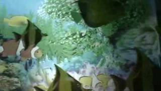 PAUL MCCARTNEY  (WATERFALLS)