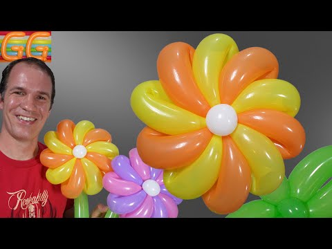 balloon flowers