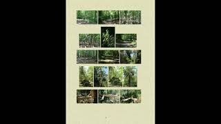 Philosophische Bildwanderung Vom Kirchberg in Hackenheim zum Gasthaus Spreitel und zurück